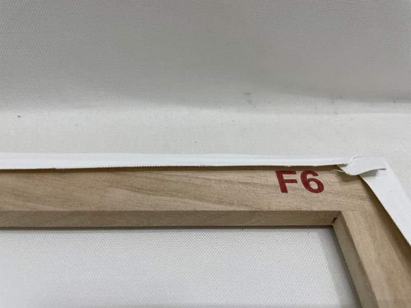 【中古】【現行品】F6キャンバスアート・cage＜コレクターズアイテム＞（代引き不可）6546