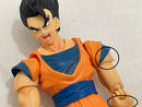 【中古】【開封品】S.H.Figuarts アルティメット孫悟飯 「ドラゴンボールZ」 魂ウェブ商店限定＜フィギュア＞（代引き不可）6546