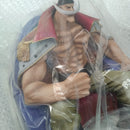 【中古】【開封品】白ひげ(エドワード・ニューゲート) 「ワンピース」 ワンピースアーカイブコレクション No.4＜フィギュア＞（代引き不可）6556