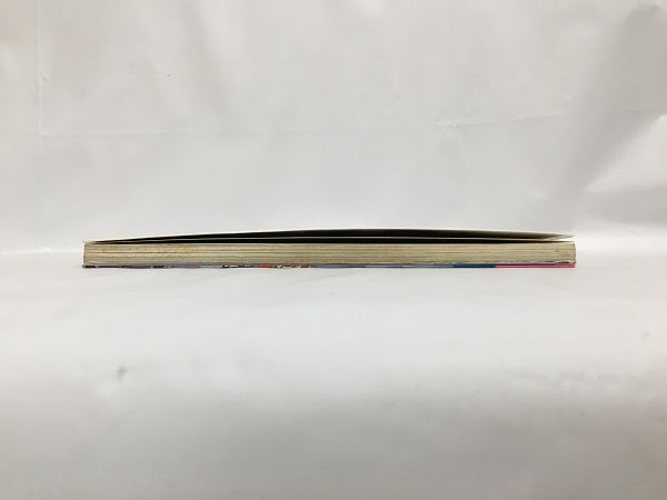 中古】ゲームボーイ レッドアリーマー 魔界村外伝 必勝攻略本