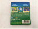 【中古】【箱説あり】【動作未確認】「ワンダーボーイ」ゲームギアソフト＜レトロゲーム＞（代引き不可）6558