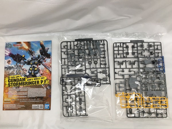 中古】【未組立】1/100 MG ガンダムストームブリンガー P.F. 「ガンダムビルドダイバーズ GIMM＆BALL's World C