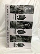 【中古】【未開封】ゴール・D・ロジャー(アニメカラー) 「バンプレくじ PREMIUM ワンピース-ゴール・D・ロジャー-」＜フィギュア＞（代引き不可）6558