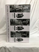 【中古】【未開封】ゴール・D・ロジャー(メタリックカラー) 「バンプレくじ PREMIUM ワンピース-ゴール・D・ロジャー-」＜フィギュア＞（代引き不可）6558