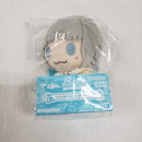 【中古】【未開封】オベロン(爽やかサマー・プリンス) ちょこのっこぬいぐるみ 一番くじ Fate Grand Order E賞＜コレクターズアイテム＞（代引き不可）6561