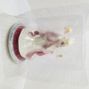 【中古】【開封品】セイバー/ネロ・クラウディウス(ヴィナスのシルク) 「Fate/Grand Order」 Kdcolle 1/7 プラスチック製塗装済み完成品＜フィギュア＞（代引き不可）6584