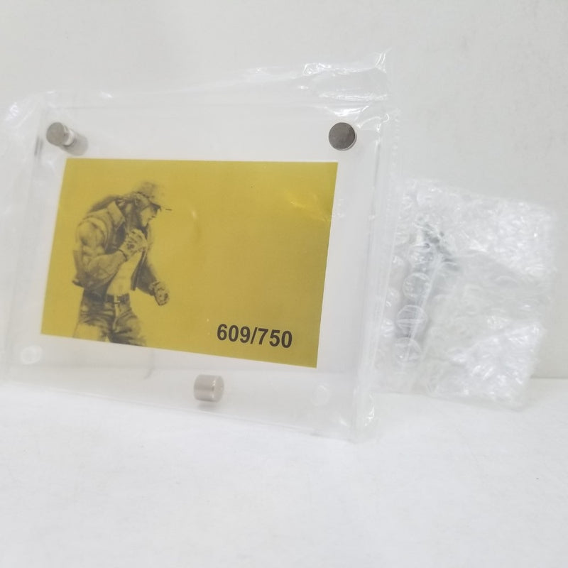 【中古】【開封品】THE KING OF COLLECTORS’24 　テリー・ボガード(ドット絵彩色Ver.)『餓狼伝説SPECIAL』＜フィギュア＞（代引き不可）6584