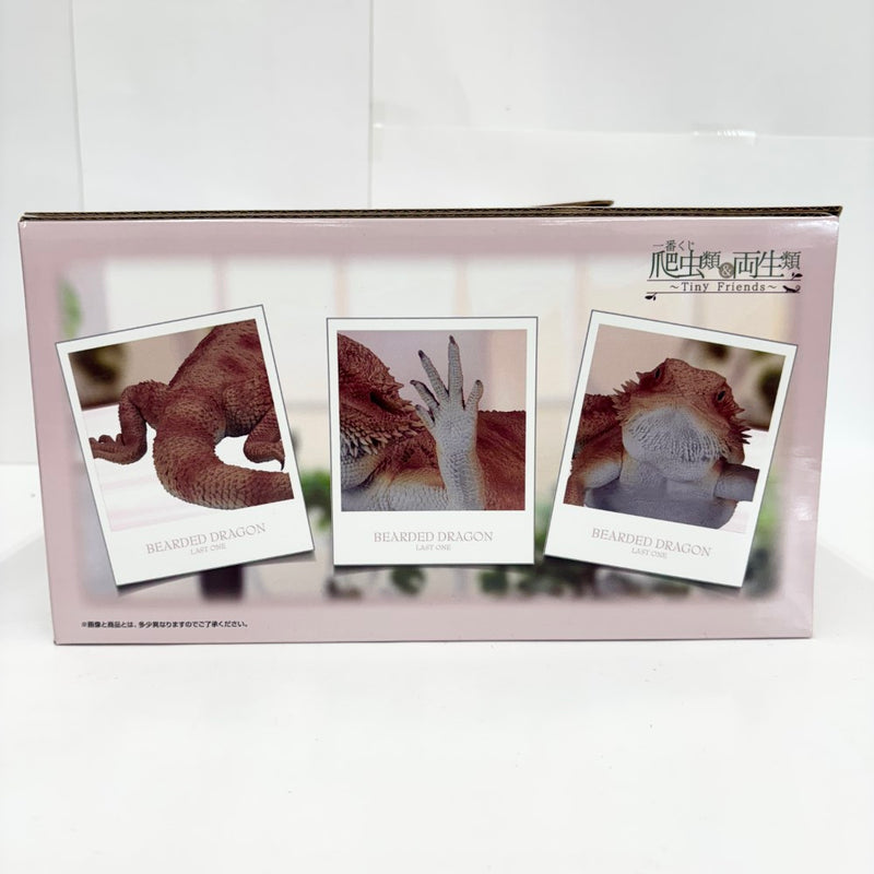 【中古】【未開封】フトアゴヒゲトカゲ アームウェービングver. 「一番くじ 爬虫類＆両生類〜Tiny Friends〜」 ラストワン賞＜フィギュア＞（代引き不可）6585