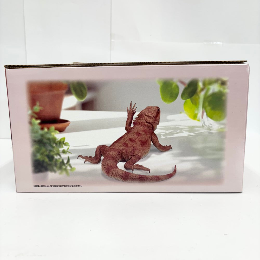 中古】【未開封】フトアゴヒゲトカゲ アームウェービングver