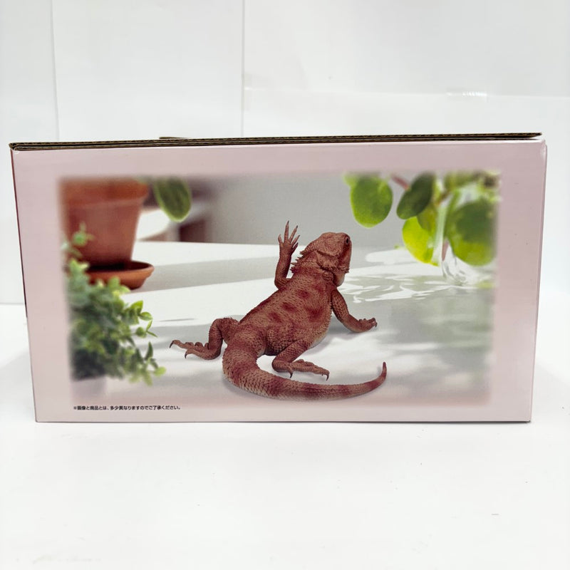 【中古】【未開封】フトアゴヒゲトカゲ アームウェービングver. 「一番くじ 爬虫類＆両生類〜Tiny Friends〜」 ラストワン賞＜フィギュア＞（代引き不可）6585
