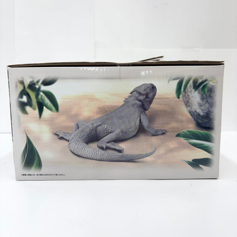 【中古】【未開封】フトアゴヒゲトカゲ ハイポゼロ 「一番くじ 爬虫類＆両生類〜Tiny Friends〜vol.2」 B賞＜フィギュア＞（代引き不可）6585