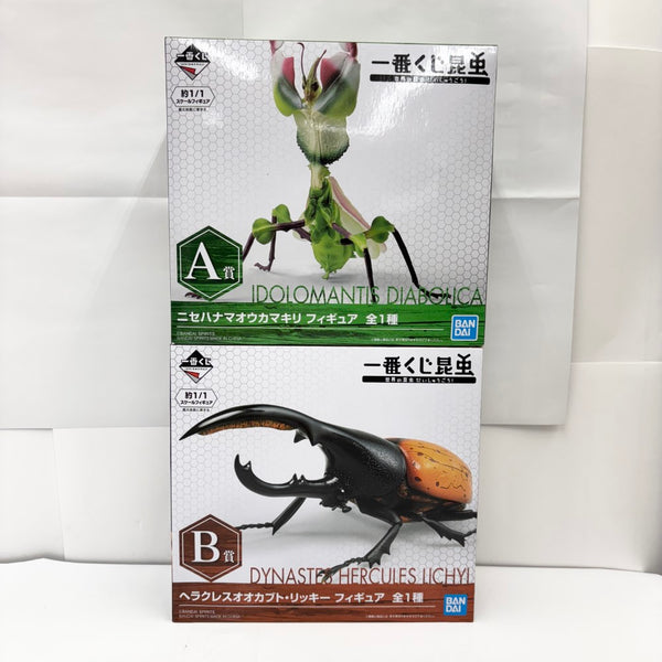【中古】【未開封】【セット】「一番くじ昆虫 世界の昆虫だいしゅうごう!!」A賞＆B賞 2点＜フィギュア＞（代引き不可）6585