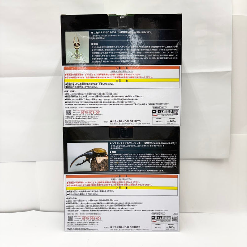 【中古】【未開封】【セット】「一番くじ昆虫 世界の昆虫だいしゅうごう!!」A賞＆B賞 2点＜フィギュア＞（代引き不可）6585