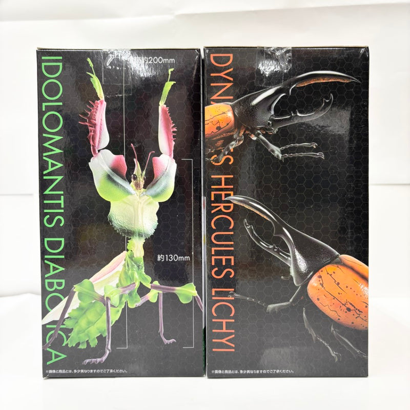 【中古】【未開封】【セット】「一番くじ昆虫 世界の昆虫だいしゅうごう!!」A賞＆B賞 2点＜フィギュア＞（代引き不可）6585