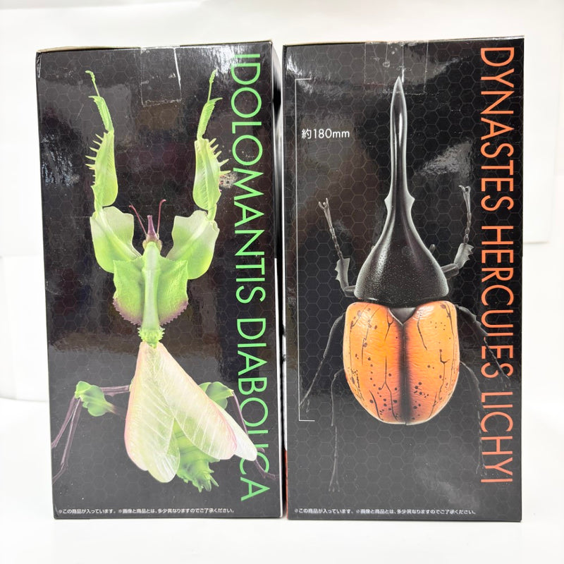 【中古】【未開封】【セット】「一番くじ昆虫 世界の昆虫だいしゅうごう!!」A賞＆B賞 2点＜フィギュア＞（代引き不可）6585