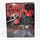 【中古】【未開封】黒崎一護 「一番くじ BLEACH-ブリーチ- Stirring Souls vol.5」 MASTERLISE A賞＜フィギュア＞（代引き不可）6585