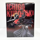 【中古】【未開封】黒崎一護 「一番くじ BLEACH-ブリーチ- Stirring Souls vol.5」 MASTERLISE A賞＜フィギュア＞（代引き不可）6585
