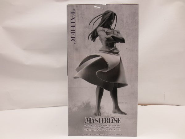 【中古】【未開封】「一番くじ 鋼の錬金術師 FULLMETAL ALCHEMIST 扉を開けし者たち」B賞＜フィギュア＞（代引き不可）6587