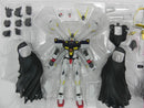 【中古】【開封品】ROBOT魂 ＜SIDE MS＞ クロスボーン・ガンダム X1/X1改 EVOLUSION SPEC「機動戦士クロスボーン・ガンダム」＜フィギュア＞（代引き不可）6587
