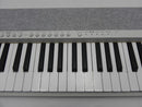 【中古】【開封品】Casiotone CT-S1WE＜おもちゃ＞（代引き不可）6587