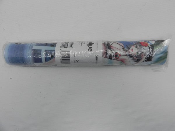 【中古】【未開封】【セット】大判マウスパッド2 「バーチャルYoutuber ホロライブプロダクション」2種＜コレクターズアイテム＞（代引き不可）6587