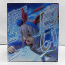 【中古】【未開封】タマモクロス 白い稲妻 （覚醒）「一番くじ アニメ ウマ娘 シンデレラグレイ 灰の怪物vs白い稲妻」C賞＜フィギュア＞（代引き不可）6587