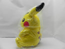 【中古】【未開封】ピカチュウ(メスのすがた) 30周年記念ぬいぐるみ 「一番くじ Pokemon 30th ANNIVERSARY vol.2」ラストワン賞＜おもちゃ＞（代引き不可）6587