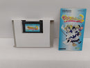 【中古】【開封品】【箱説有】GBA デ・ジ・キャラット でじこミュニケーション2 ゲームボーイアドバンス＜レトロゲーム＞（代引き不可）6597