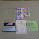 【中古】【開封品】スーパーファミコン プリンセス・ミネルバ SHVC-P-AVAJ＜レトロゲーム＞（代引き不可）6600