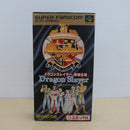 【中古】【開封品】スーパーファミコン ドラゴンスレイヤー 英雄伝説 SHVC-DS＜レトロゲーム＞（代引き不可）6600