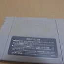 【中古】【開封品】スーパーファミコン ドラゴンスレイヤー 英雄伝説 SHVC-DS＜レトロゲーム＞（代引き不可）6600