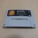【中古】【箱説無】スーパーファミコンソフト ウィザードリィ6 禁断の魔筆 SHVC-AW6J＜レトロゲーム＞（代引き不可）6600