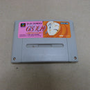 【中古】【箱説無】スーパーファミコン GS美神 除霊師はナイスバディ SHVC-IR＜レトロゲーム＞（代引き不可）6600