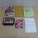【中古】【開封品】飛竜の拳 スペシャルファイティングウォーズ＜レトロゲーム＞（代引き不可）6600