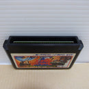 【中古】【開封品】飛竜の拳 スペシャルファイティングウォーズ＜レトロゲーム＞（代引き不可）6600
