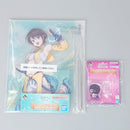 【中古】【未開封】【セット】大空スバル フィギュア アクリルビジュアルボード「一番くじ ホロライブ 〜RPG Style〜」＜フィギュア＞（代引き不可）6602