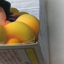 【中古】【未開封】チチ 「ドラゴンボール」 SCultures 造形天下一武道会3 其ノ一＜フィギュア＞（代引き不可）6605