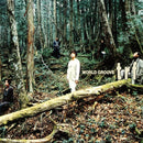 TRF／WORLD GROOVE＜2LP＞（初回生産限定盤)20251101