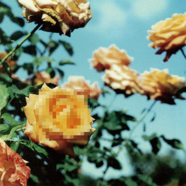 globe／Relation＜2LP＞（初回生産限定盤)20251101