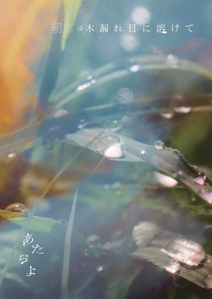 BD_RZCB-87142B_700x.jpg?v=