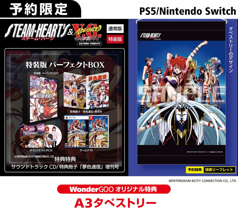 【WonderGOOオリジナル特典】スチーム・ハーツ＆アドヴァンスト ヴァリアブル・ジオ サターントリビュート特装版 パーフェクトBOX＜Switch＞20250529