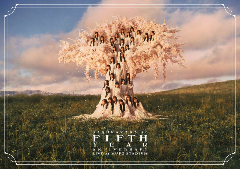 Music CD／DVD＆Blu-ray