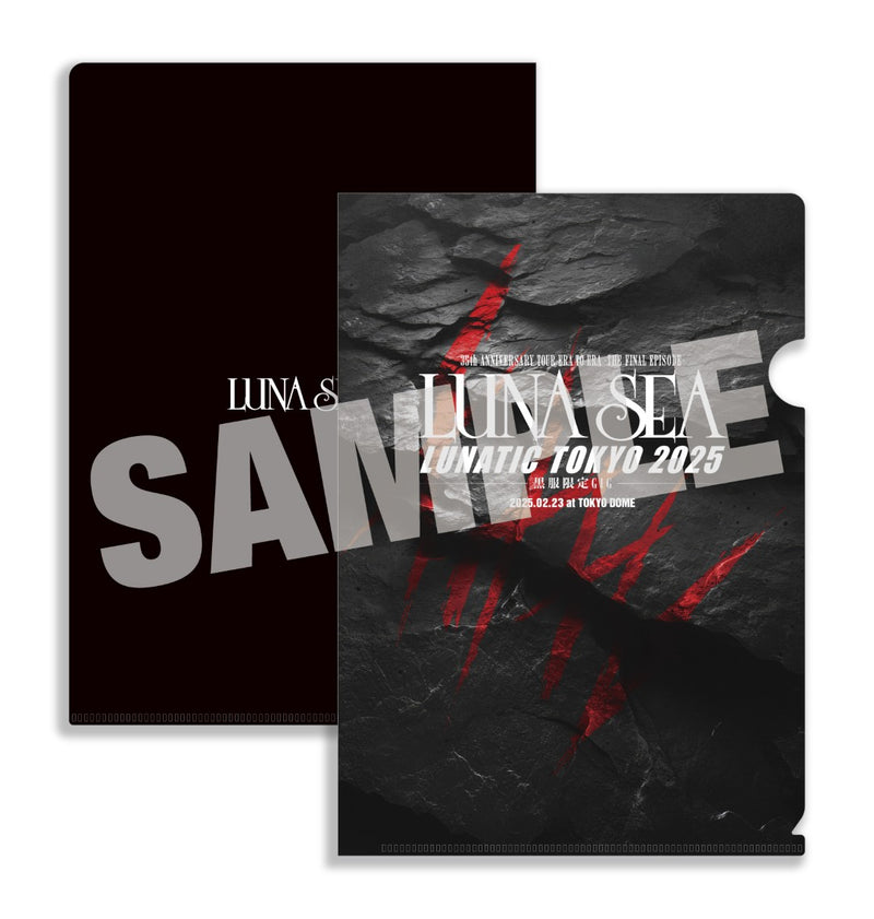 新品未開封Blu-ray LUNATIC TOKYO 2025 LUNA SEA LUNA SEA 最新ライブBlu-ray＆DVD『35th ANNIVERSARY TOUR ERA TO ERA
