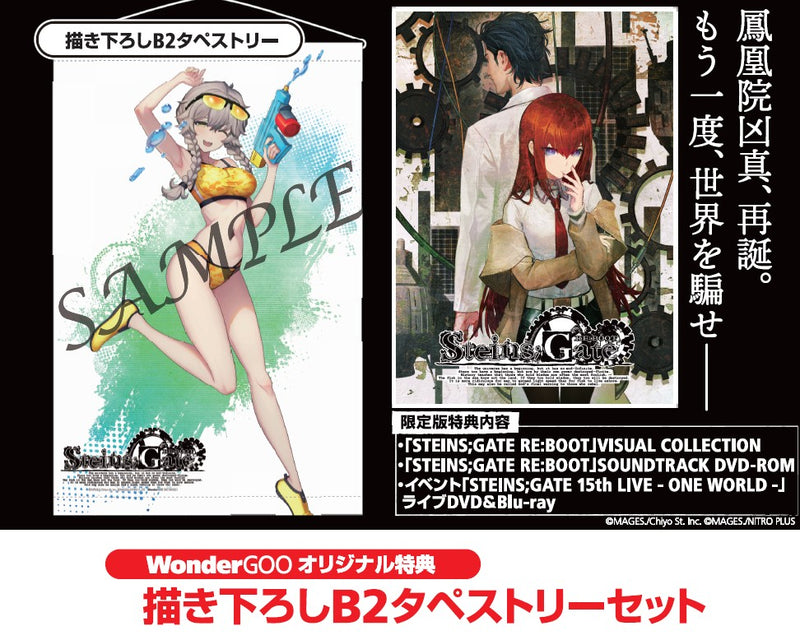 WonderGOOオリジナル特典＜タペストリーセット＞】STEINS;GATE RE:BOOT