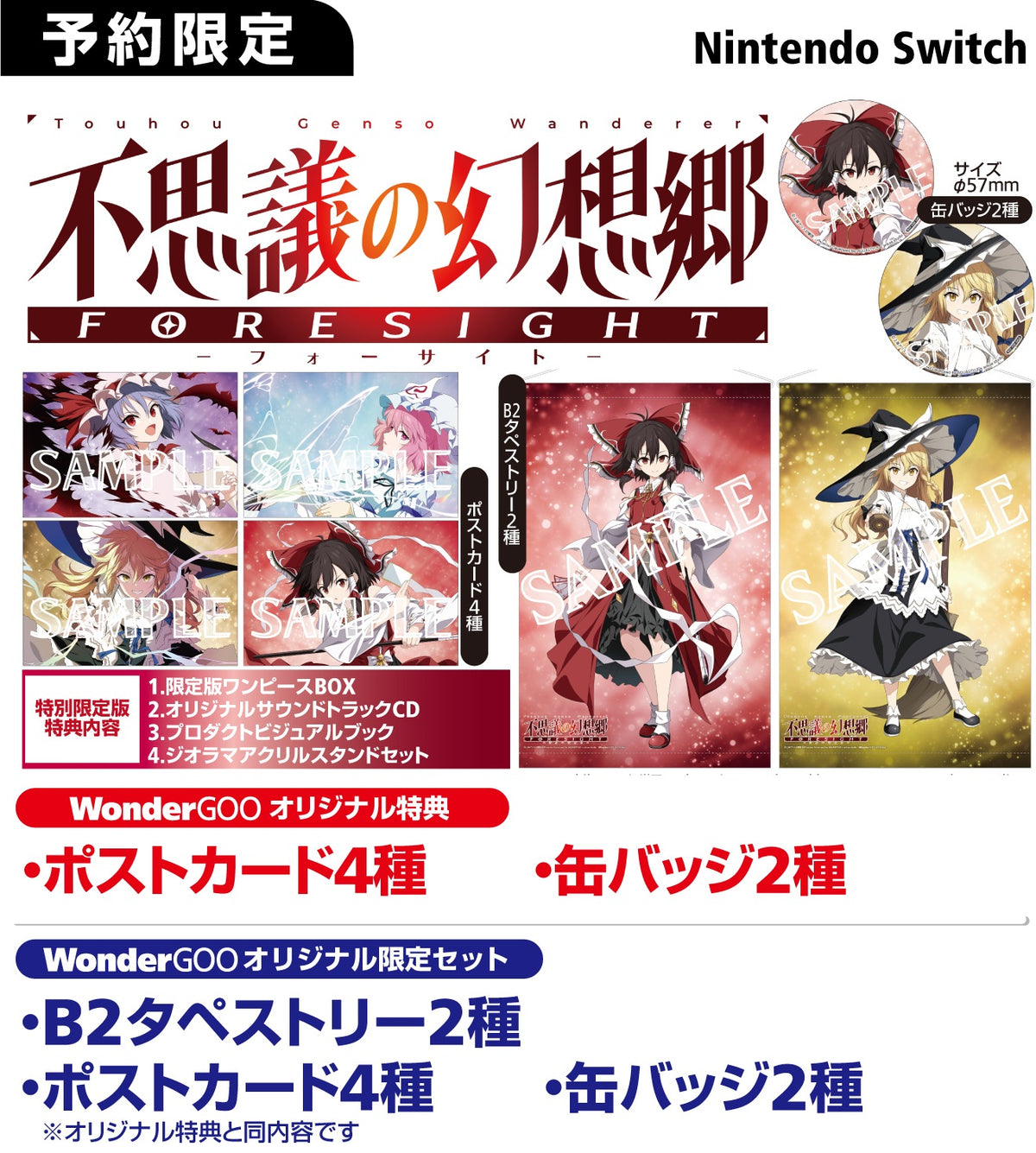 Amazon.co.jp: 不思議の幻想郷 -FORESIGHT- 特別限定版 -Switch