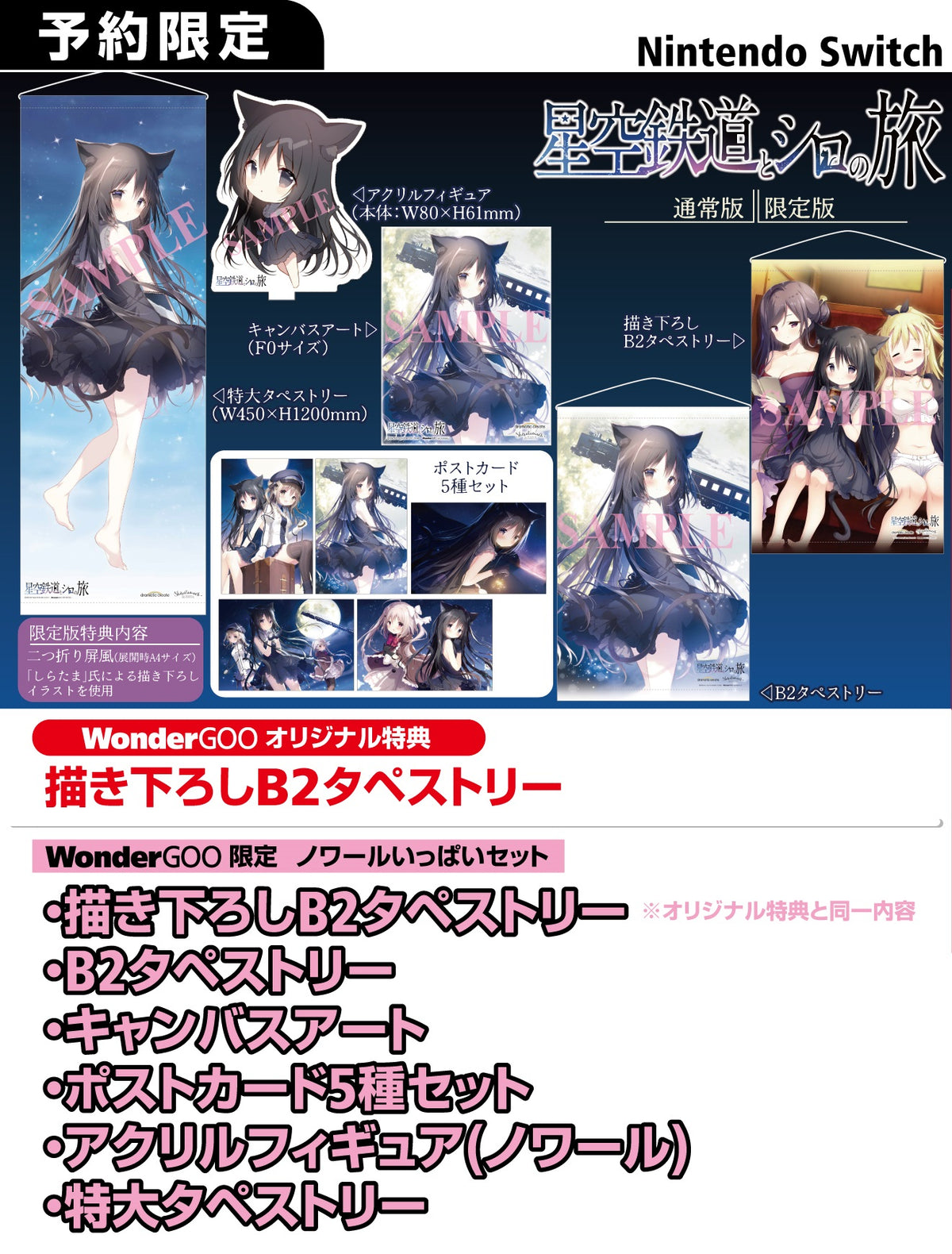 WonderGOO限定ノワールいっぱいセット】星空鉄道とシロの旅＜Switch