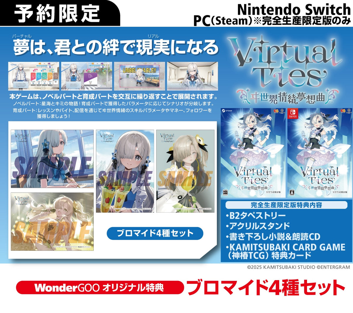 WonderGOOオリジナル特典】Virtual Ties ヰ世界情緒夢想曲 完全生産
