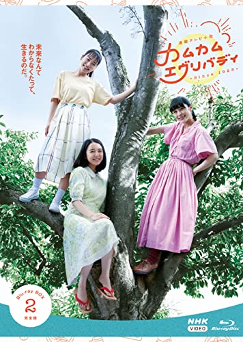 深津絵里／連続テレビ小説 カムカムエヴリバディ 完全版 Blu-ray BOX2＜4Blu-ray＞20220624